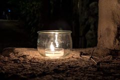 PXL_20250719_233203696