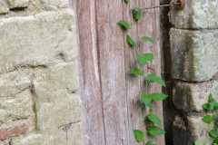 WhatsApp-Image-2025-08-29-at-20.25.52