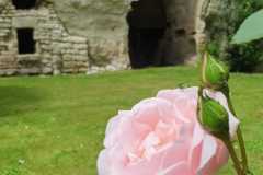 WhatsApp-Image-2025-08-29-at-20.25.59